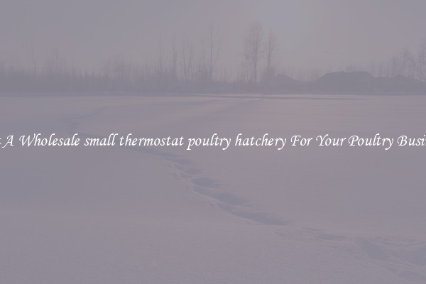 Get A Wholesale small thermostat poultry hatchery For Your Poultry Business