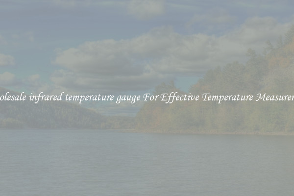 Wholesale infrared temperature gauge For Effective Temperature Measurement