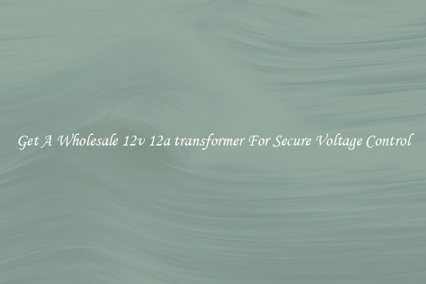 Get A Wholesale 12v 12a transformer For Secure Voltage Control