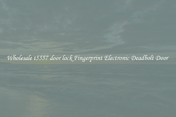 Wholesale t5557 door lock Fingerprint Electronic Deadbolt Door 
