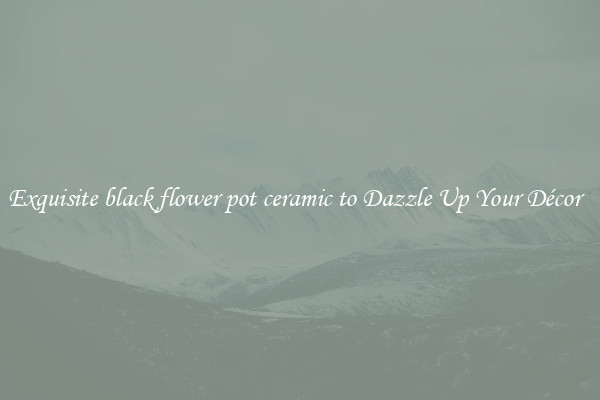 Exquisite black flower pot ceramic to Dazzle Up Your Décor  
