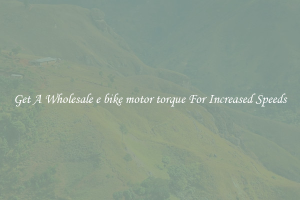 Get A Wholesale e bike motor torque For Increased Speeds