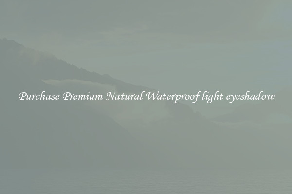 Purchase Premium Natural Waterproof light eyeshadow