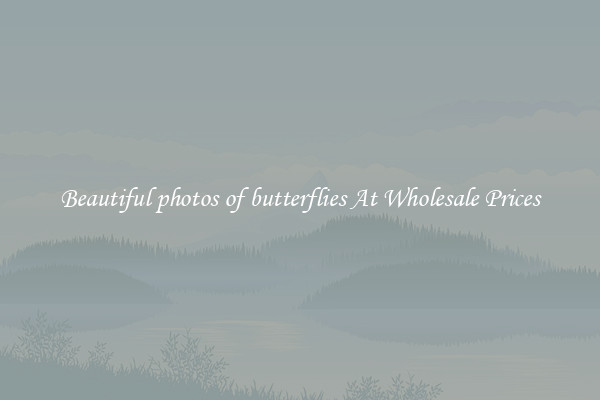 Beautiful photos of butterflies At Wholesale Prices