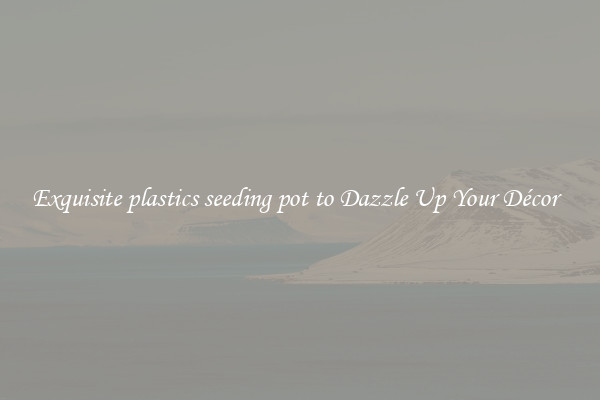 Exquisite plastics seeding pot to Dazzle Up Your Décor  