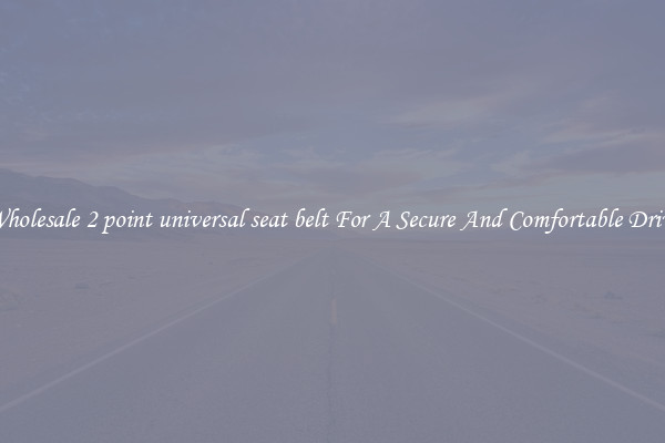 Wholesale 2 point universal seat belt For A Secure And Comfortable Drive