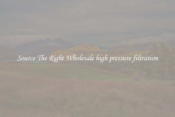 Source The Right Wholesale high pressure filtration
