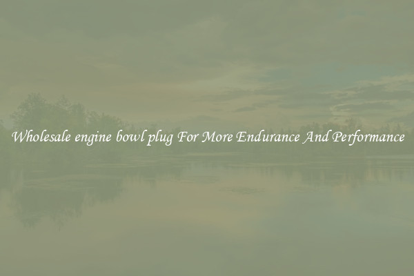 Wholesale engine bowl plug For More Endurance And Performance