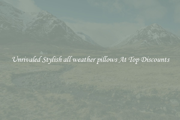 Unrivaled Stylish all weather pillows At Top Discounts