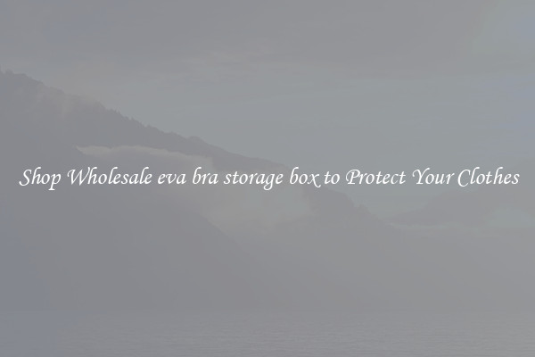 Shop Wholesale eva bra storage box to Protect Your Clothes