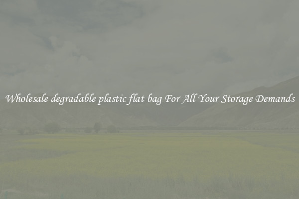 Wholesale degradable plastic flat bag For All Your Storage Demands