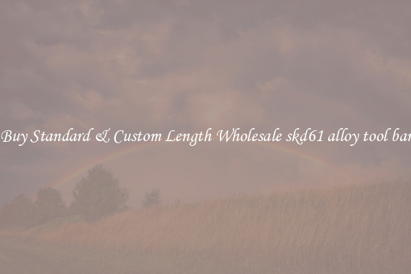 Buy Standard & Custom Length Wholesale skd61 alloy tool bar