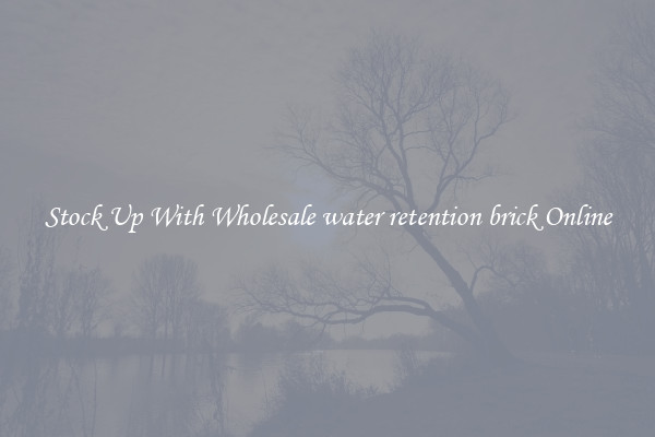 Stock Up With Wholesale water retention brick Online