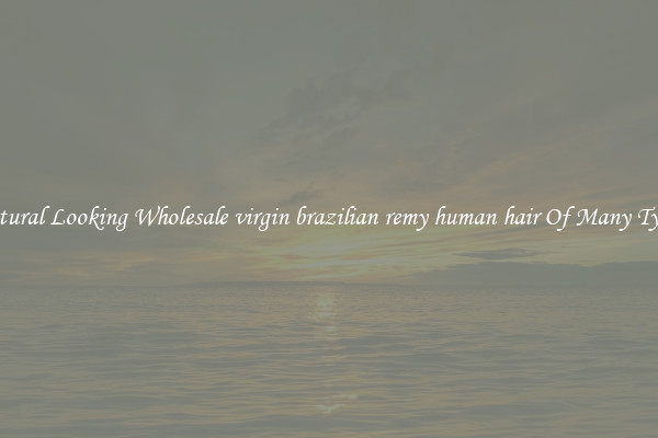 Natural Looking Wholesale virgin brazilian remy human hair Of Many Types