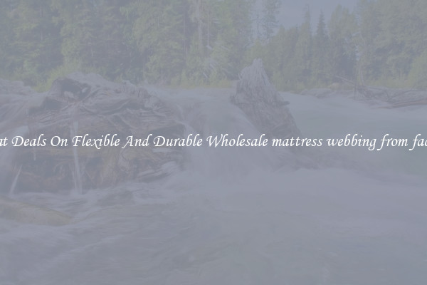 Great Deals On Flexible And Durable Wholesale mattress webbing from factory
