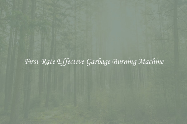 First-Rate Effective Garbage Burning Machine