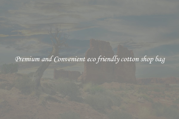 Premium and Convenient eco friendly cotton shop bag