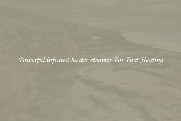 Powerful infrared heater steamer For Fast Heating