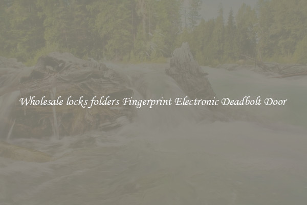 Wholesale locks folders Fingerprint Electronic Deadbolt Door 