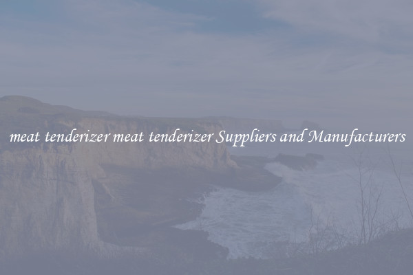 meat tenderizer meat tenderizer Suppliers and Manufacturers