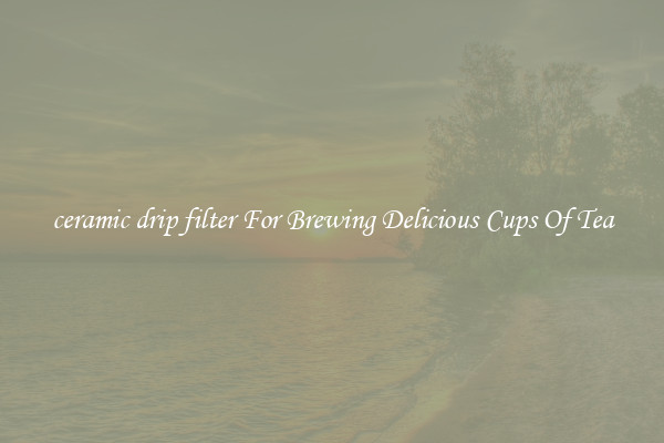ceramic drip filter For Brewing Delicious Cups Of Tea